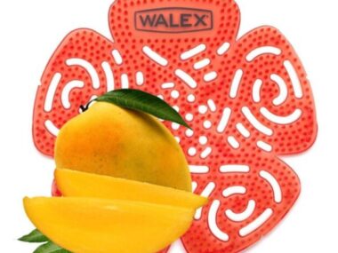 Doftplatta Bravo – Mango – Orange